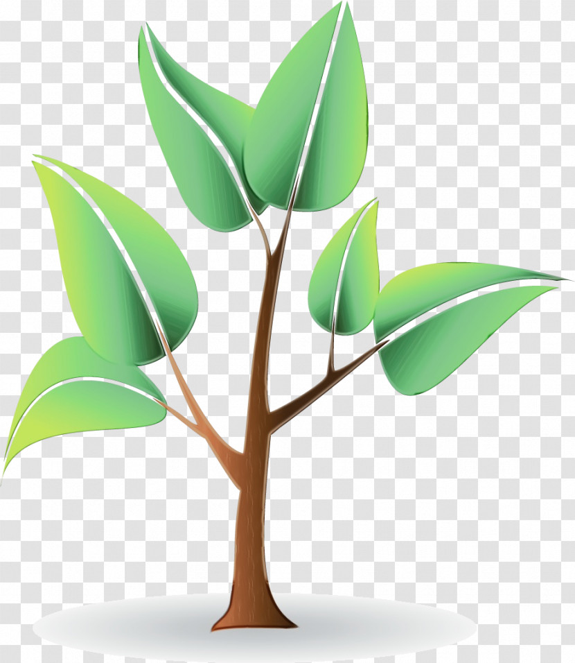Plant Stem Branch Leaf Font Computer Transparent PNG
