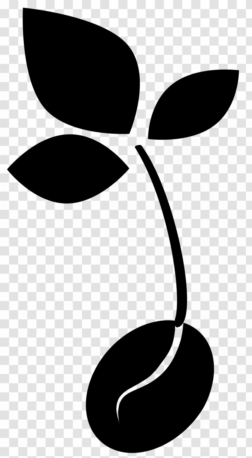 Black-and-white Line Font Art Symbol - Plant Transparent PNG