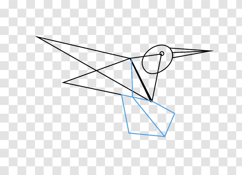 Drawing Line Art Diagram - Bird - Irregular Transparent PNG
