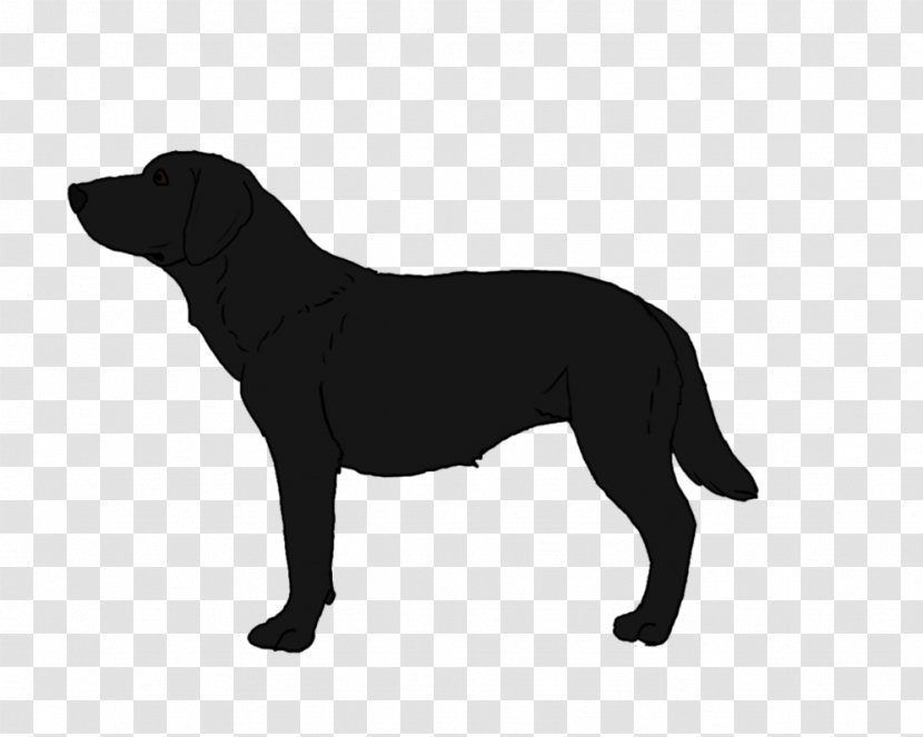 Labrador Retriever Puppy Horse American Staffordshire Terrier Rough Collie - Tail - Silver Fern Transparent PNG
