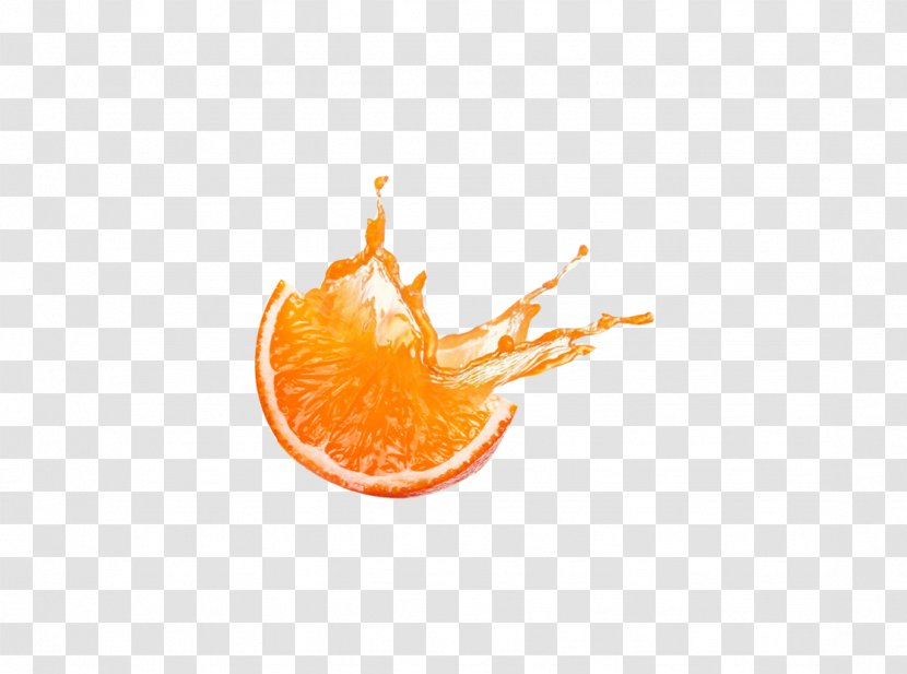 Orange Juice Fruit - Beautiful Exquisite Oranges Transparent PNG