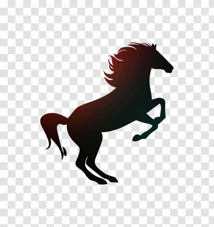 Arabian Horse The Black Hotel Rearing Stallion - Mane Transparent PNG