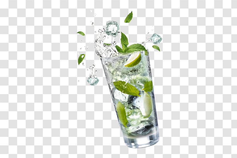 Mojito Cocktail Garnish Gin And Tonic Vodka - Lime Transparent PNG
