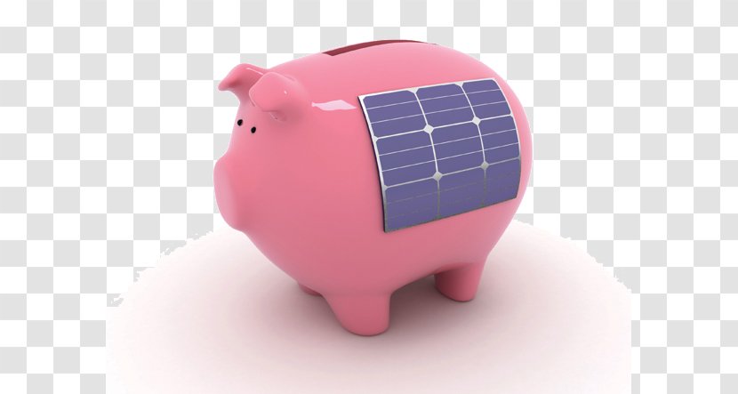 Solar Power In Australia Panels Energy - Pig Transparent PNG