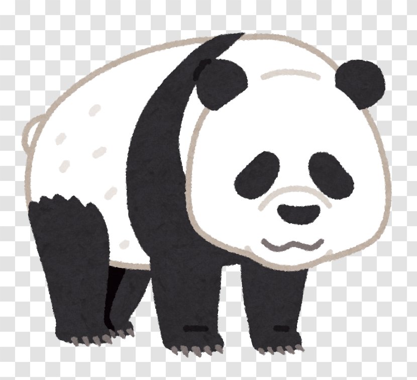 Giant Panda Ueno Zoo Bear いらすとや Xiang - Television Transparent PNG