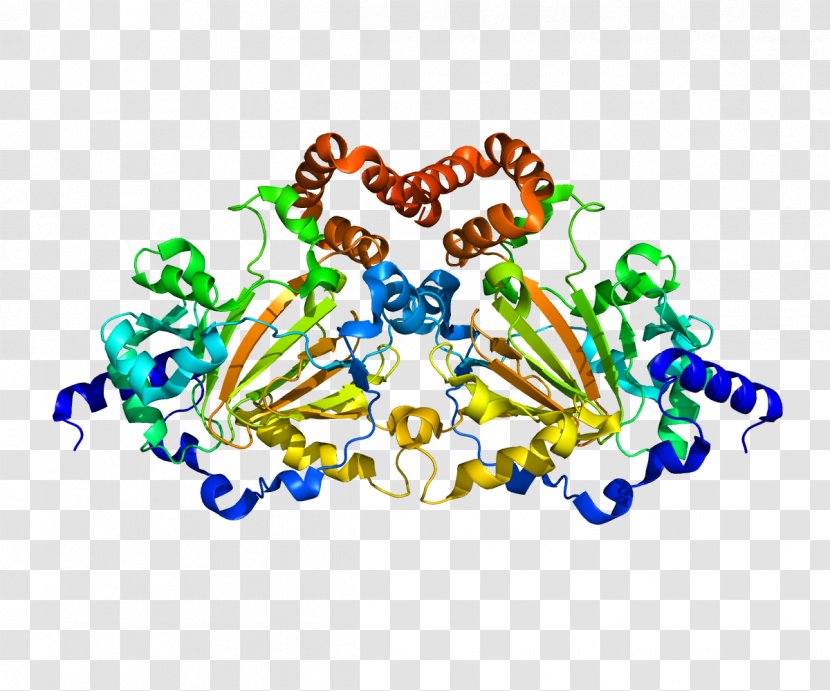JMJD6 Enzyme Demethylase Lysyl Hydroxylase Hydroxylation - Phosphatidylserine - Genetic Code Transparent PNG