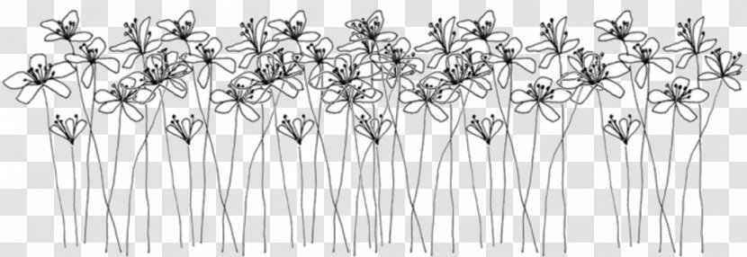 Ellsworth Kelly: Plant Drawings Doodle Flower - Twig Transparent PNG