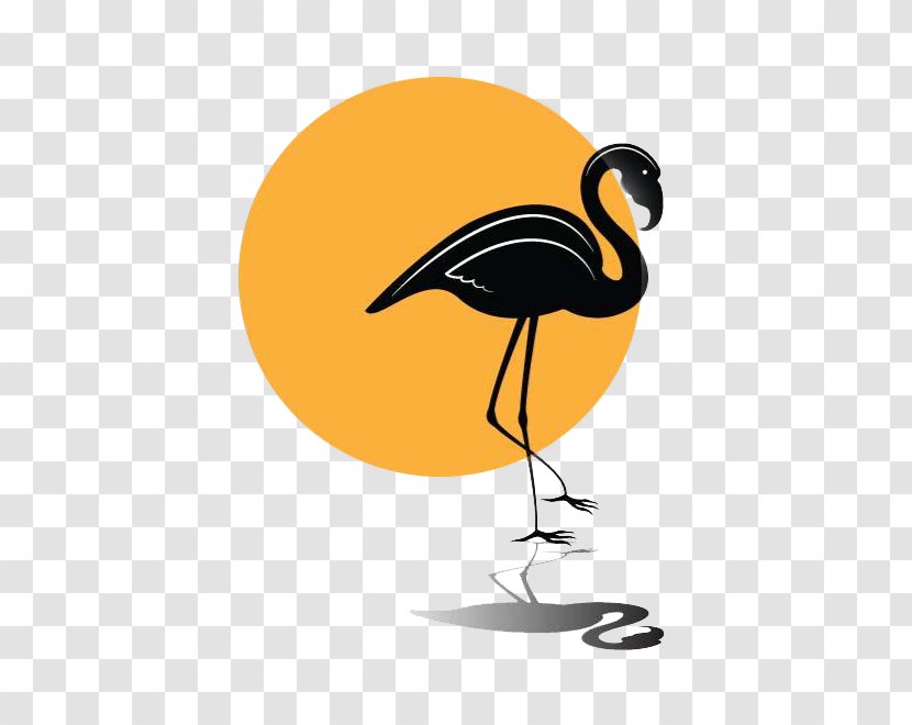Flamingo Bird Beak - Crane Transparent PNG