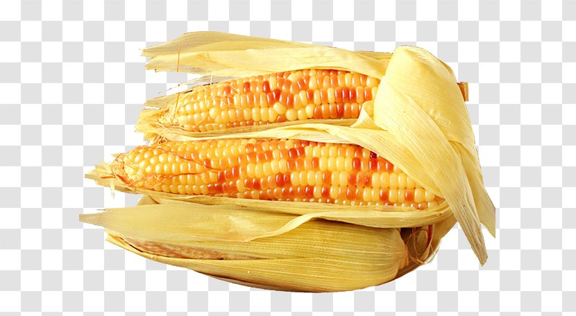 Corn On The Cob Waxy Maize Corncob Food - Frame - Organic Transparent PNG