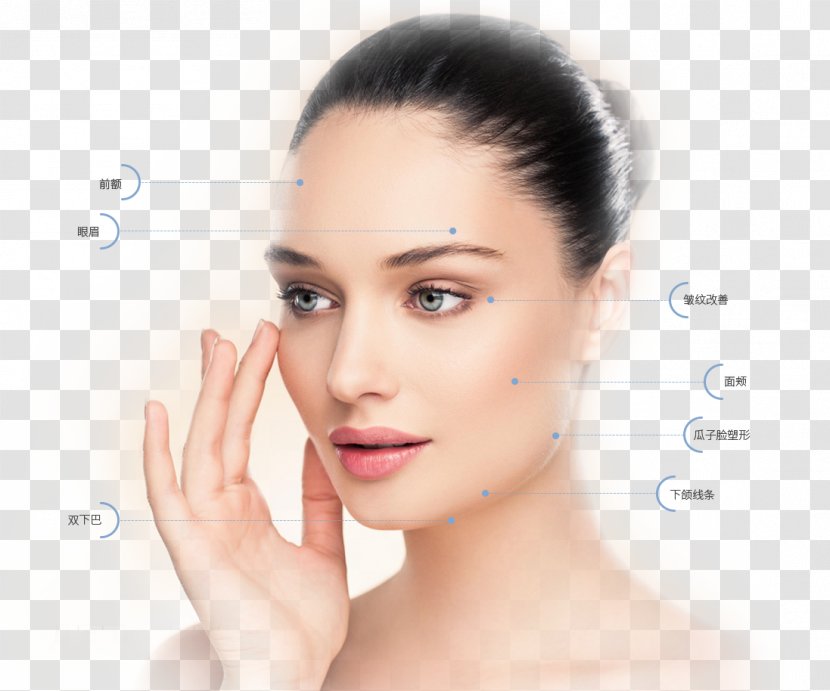 Skin Care Human Vitamin E Oil - Alpha Hydroxy Acid Transparent PNG