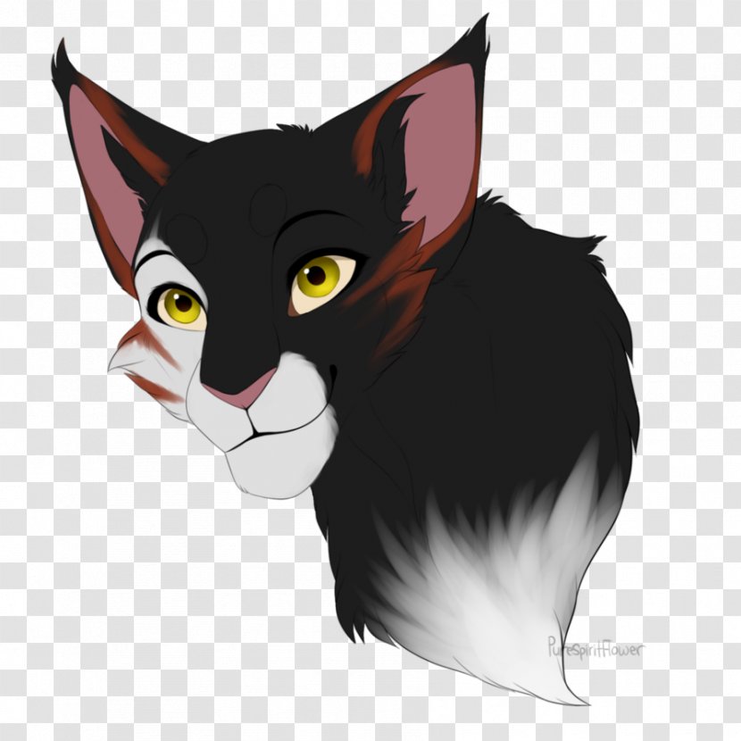 Kitten Whiskers Warriors Cat Drawing - Stormtail Transparent PNG