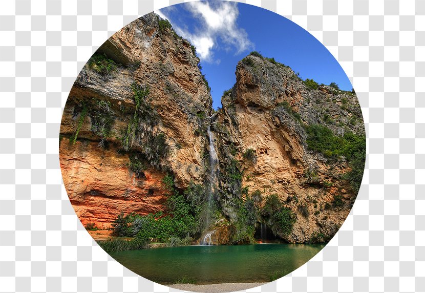 Buñol Cueva Turche La Tomatina Societat Excursionista De València Nature - Tree Transparent PNG