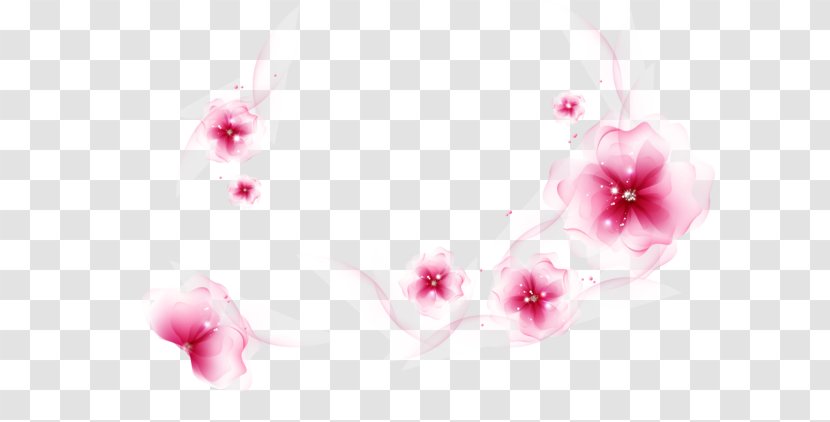 Flower Desktop Wallpaper Image Photograph - Computer Transparent PNG