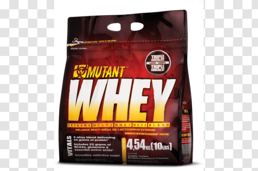 Dietary Supplement Whey Protein Bodybuilding - Muscle Hypertrophy Transparent PNG