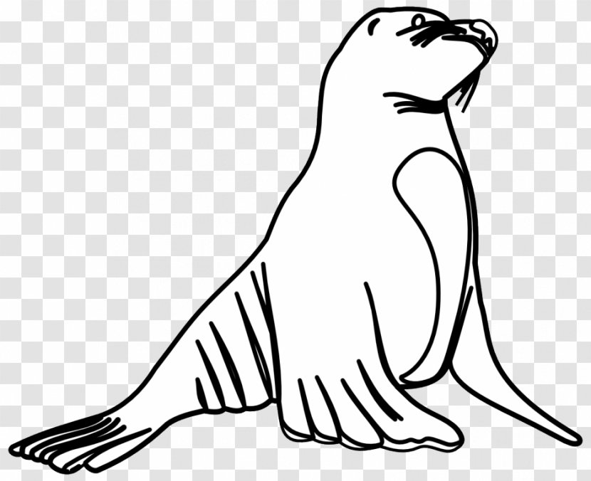 Sea Lion Earless Seal Otter Clip Art - Artwork - White Cliparts Transparent PNG