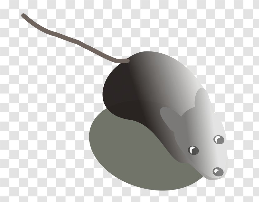 Computer Mouse User Interface - Rat Transparent PNG
