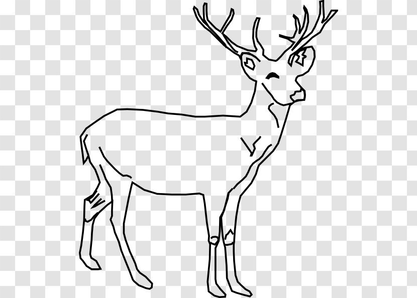 White-tailed Deer Moose Clip Art - Vertebrate - Antler Transparent PNG
