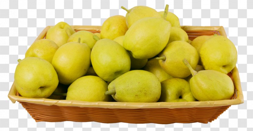 Xinjiang Pyrus Nivalis Xd7 Sinkiangensis Asian Pear Fruit Transparent PNG