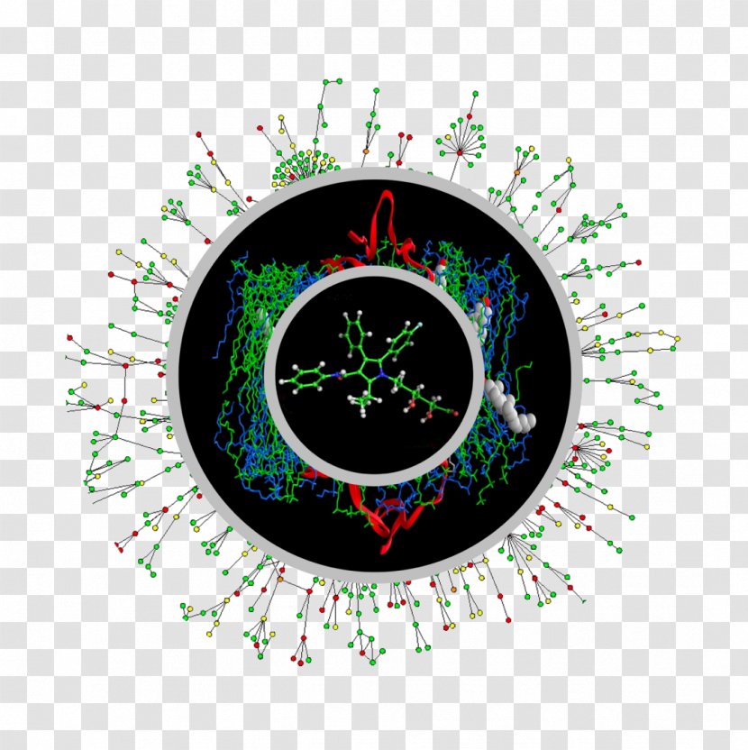 Systems Biology Protein–protein Interaction Rhizome Research - Proteome - Symbol Transparent PNG