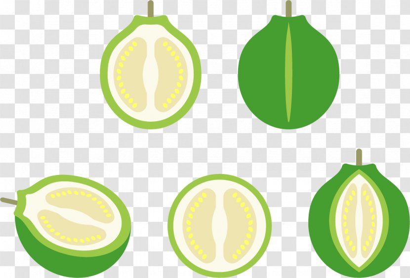 Lemon Euclidean Vector Icon - Food - Melon Transparent PNG