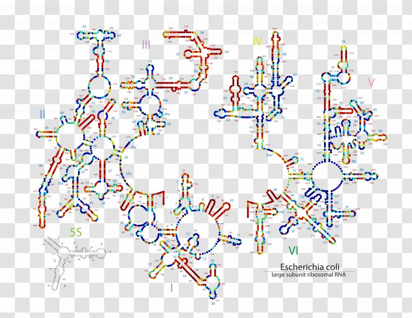 Diagram Line Point Product Technology Transparent PNG