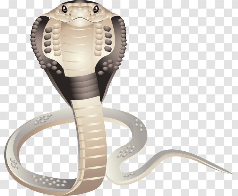 Snake Clip Art - King Cobra Transparent PNG