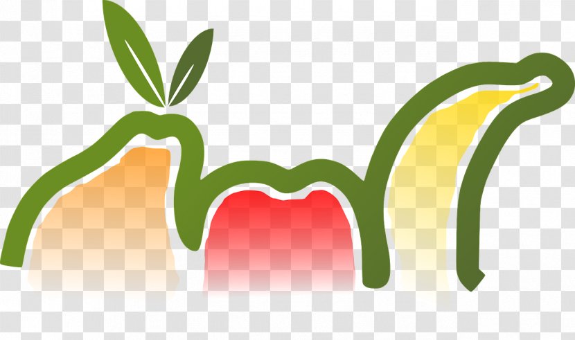 Smoothie Juice Vegetarian Cuisine Clip Art Fruit - Frame Transparent PNG