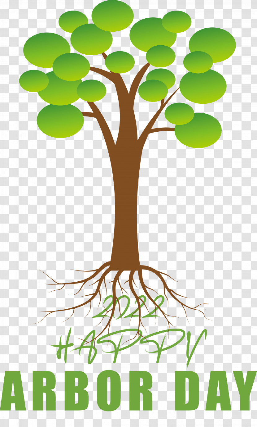Plant Stem Tree Alternative Medicine Leaf Perennial Plant Transparent PNG