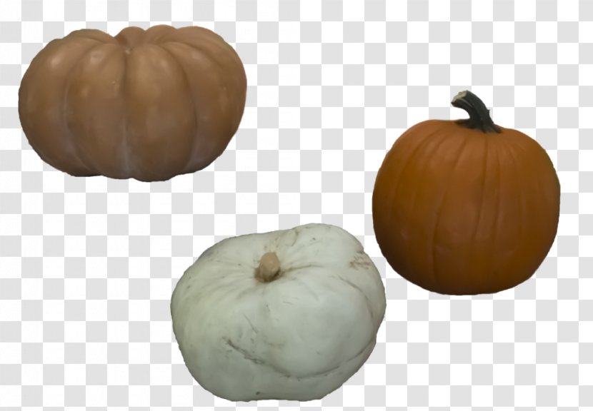 Pumpkin Calabaza Winter Squash Gourd Transparent PNG