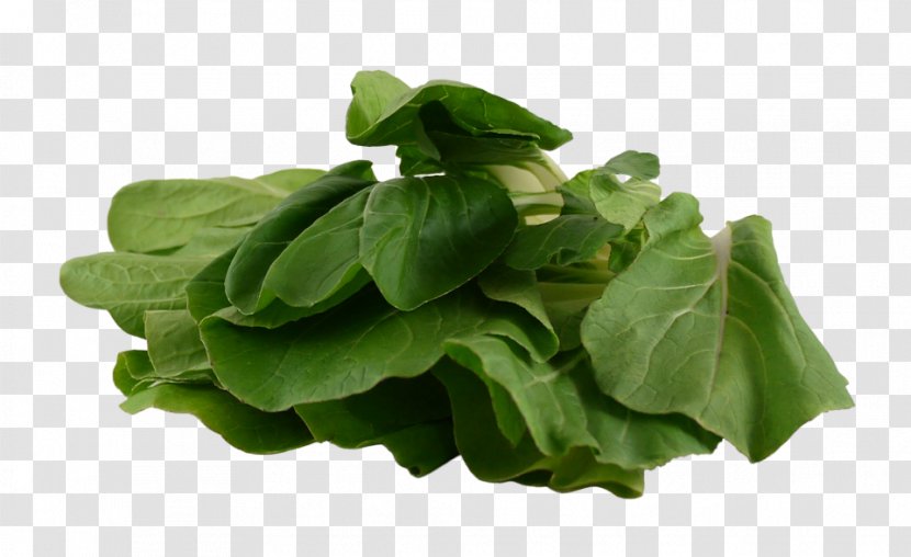 Spinach Vegetarian Cuisine Leaf Vegetable Chard - Bok Choy Transparent PNG