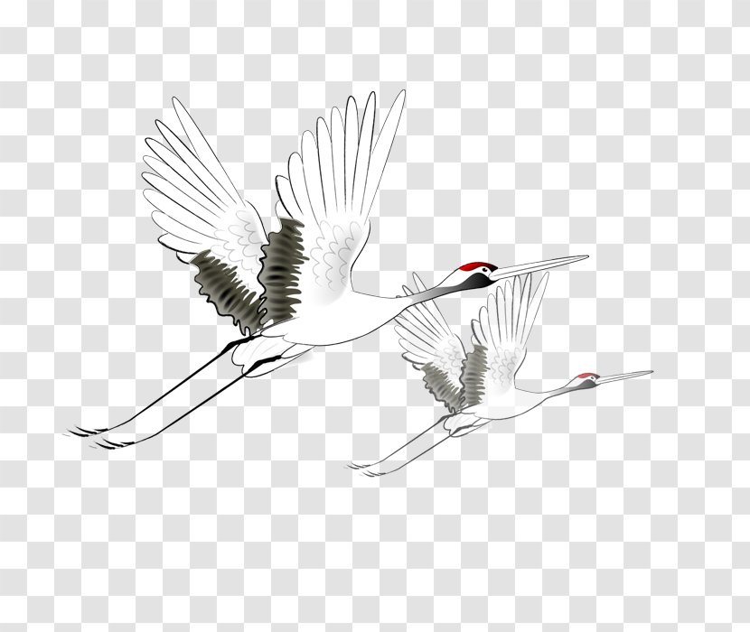 Red-crowned Crane - Designer - Flying Transparent PNG