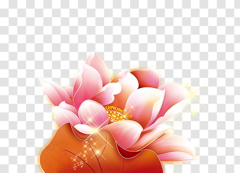 China Chinese New Year Greeting Card Lunar Years Day - Pink - Lotus Element Transparent PNG