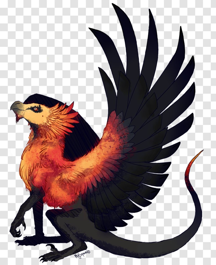 Bird Bearded Vulture Beak Dragons - Of Prey - Dragon Transparent PNG