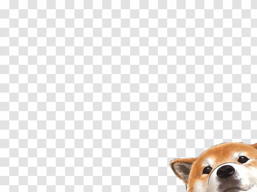 Pembroke Welsh Corgi Puppy Dog Breed Companion Desktop Wallpaper Transparent PNG