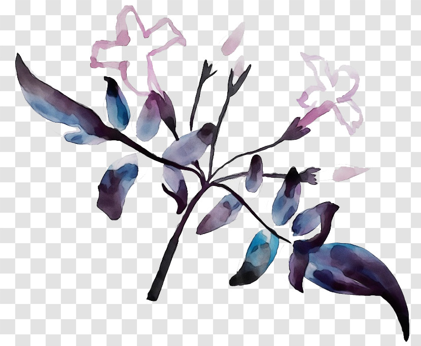 Hummingbird Transparent PNG