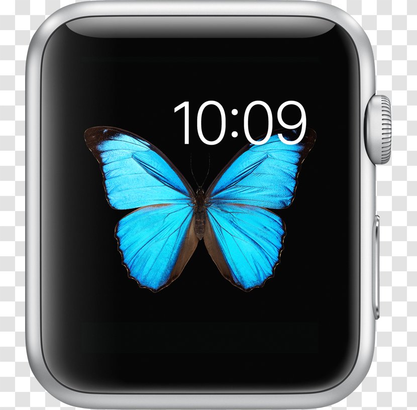 Apple Watch Series 1 Enclosure Material: Stainless Steel Material (watch Strap): L... - Sport - Clips Transparent PNG