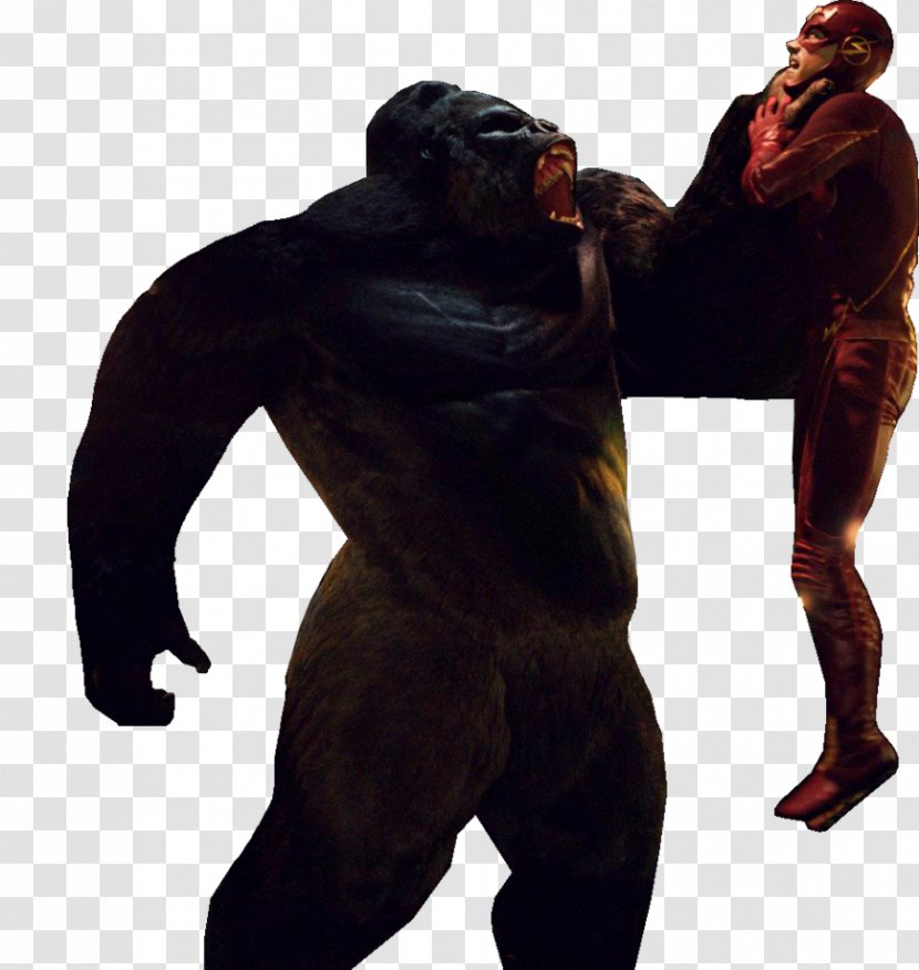 Gorilla Grodd Flash Green Arrow Clip Art - Primate Transparent PNG