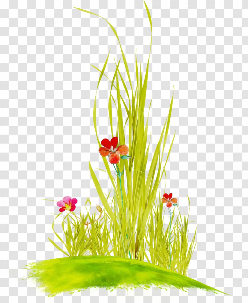 Summer Background Design - Flowering Plant - Artificial Flower Pet Supply Transparent PNG