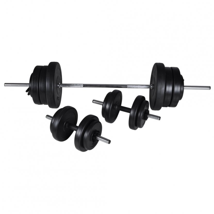 Barbell Dumbbell Weight Training Bench Fitness Centre Transparent PNG