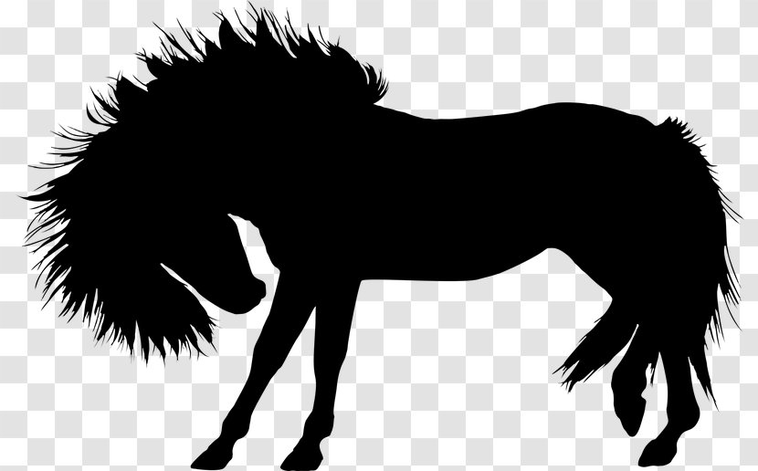 Horse Stallion Pony Foal - Wing Transparent PNG