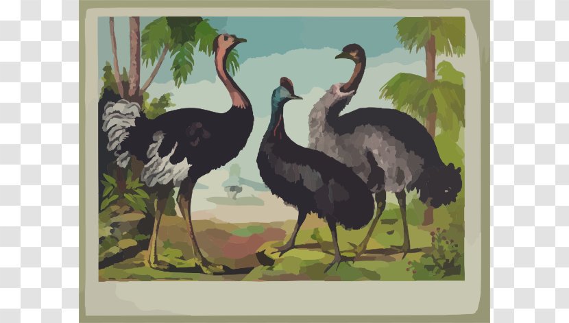 Common Ostrich Bird Canvas Print Oil Painting Clip Art - Artist - Cliparts Transparent PNG