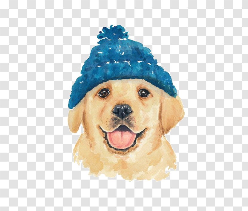 Dog Drawing Watercolor Painting Cat - Headgear - Cartoon Golden Retriever Transparent PNG