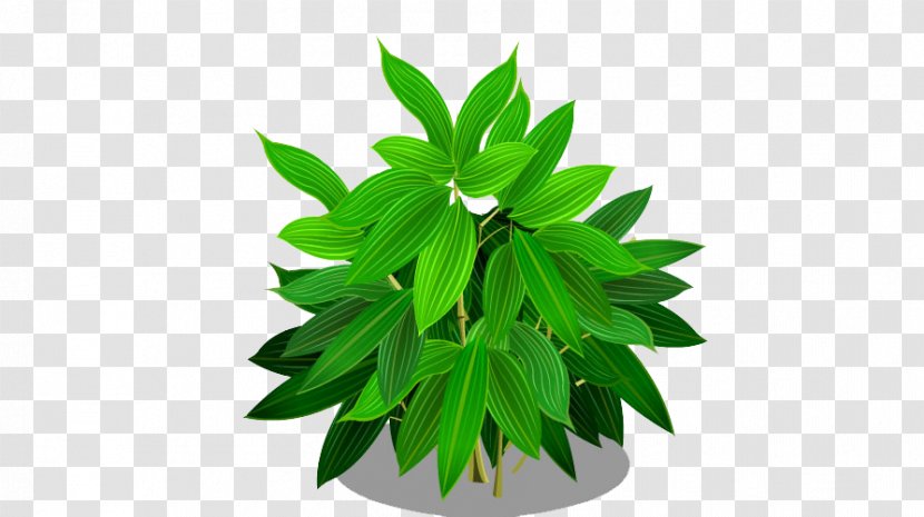 Grass - Herb - Tree Transparent PNG
