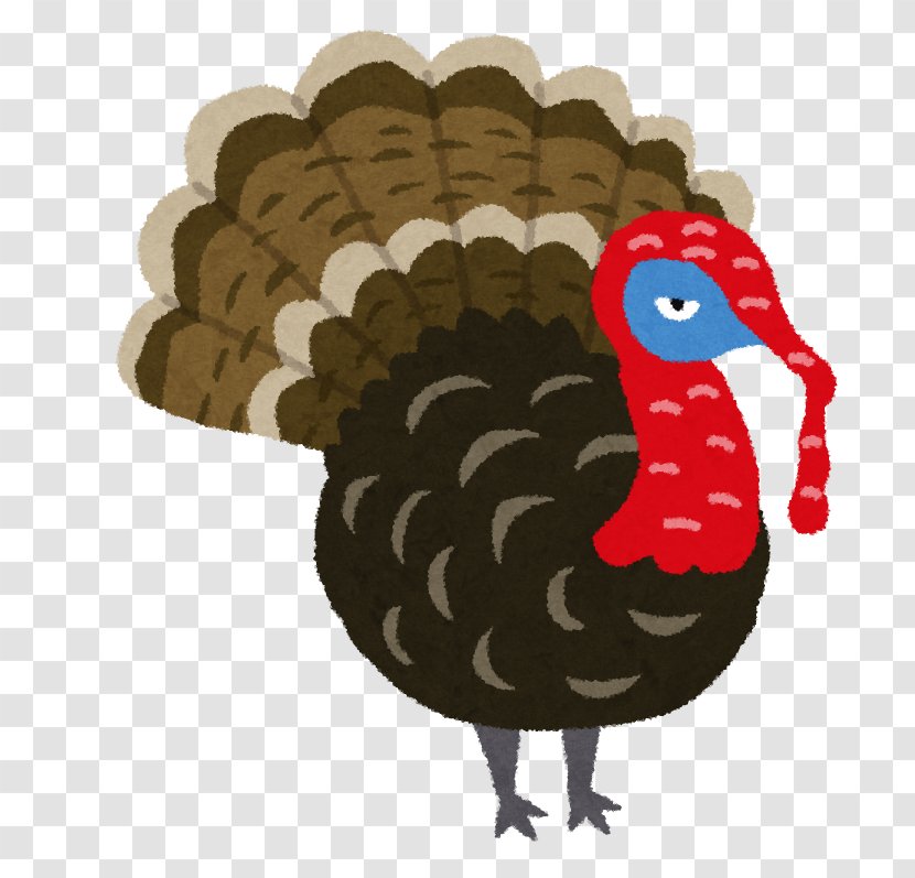 Domestic Turkey Illustration Image Bird - Domesticated Transparent PNG