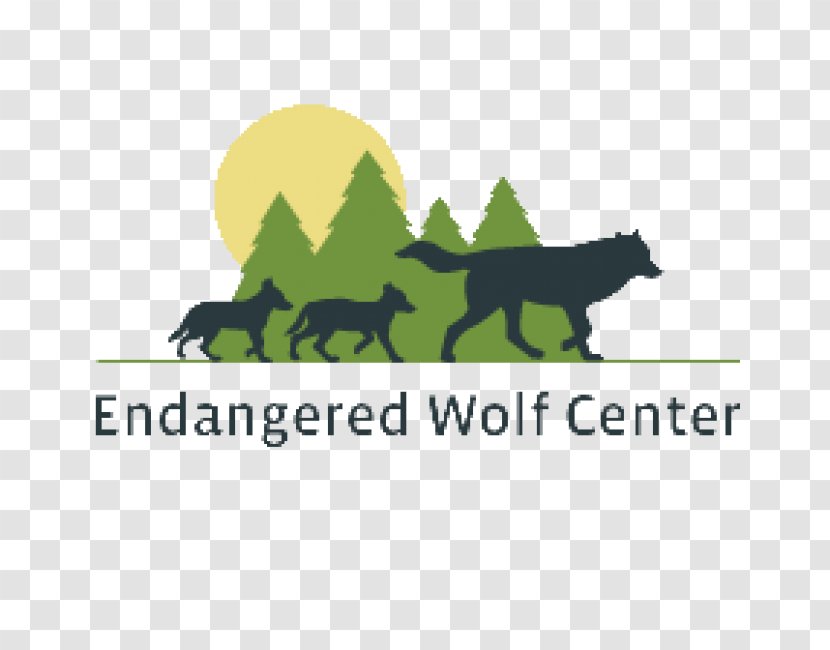 Endangered Wolf Center African Wild Dog Fest Canidae Transparent PNG