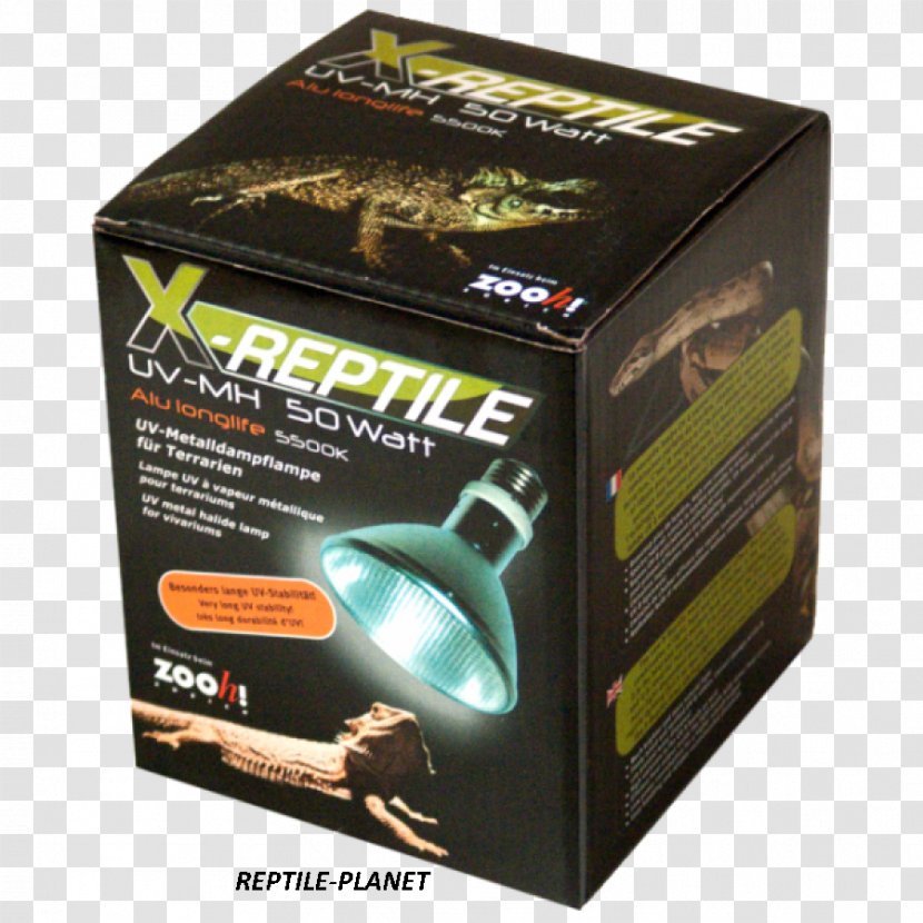 Reptile Terrarium Chameleons Light Teraristika - Heat Lamp Transparent PNG