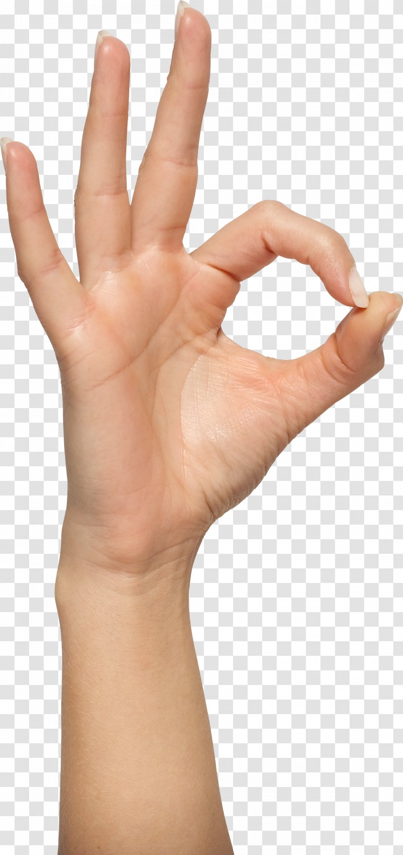 OK Gesture Hand - Thumb - Hands , Image Free Transparent PNG