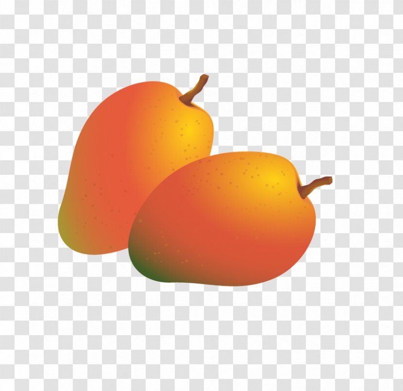 Mango Fruit Auglis - Cartoon - Vector Transparent PNG