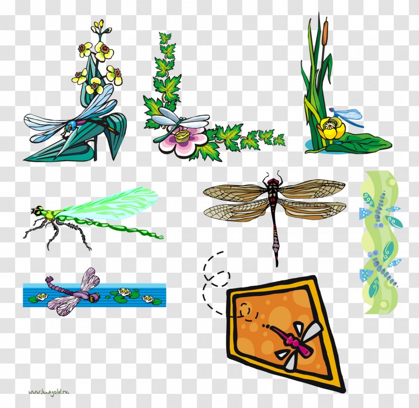 Clip Art Image Dragonfly JPEG - Membrane Winged Insect Transparent PNG