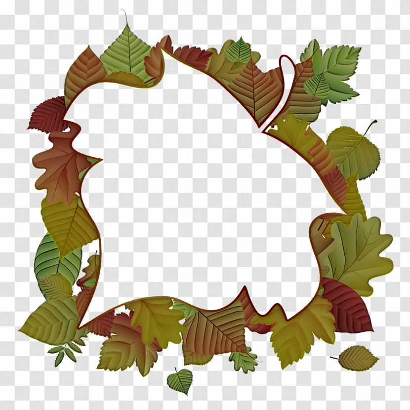 Leaf Tree The Family Grapevine Plant Structure Biology Transparent PNG